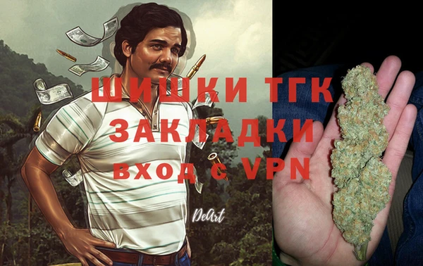 PSILOCYBIN Алексеевка
