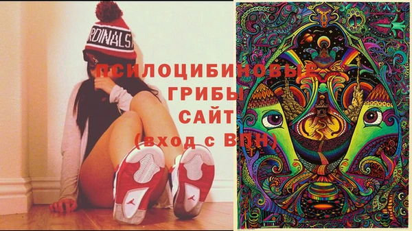 экстази Абинск